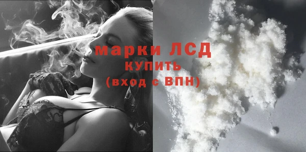 spice Богородицк