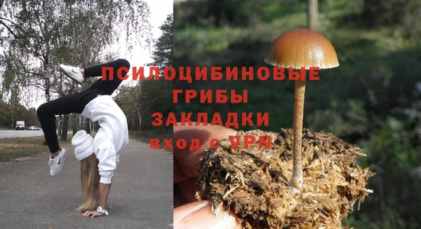 2c-b Бородино
