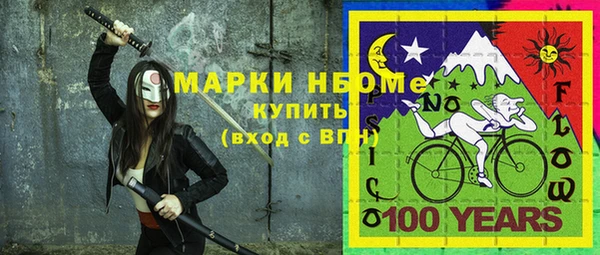 2c-b Бородино