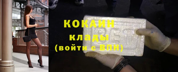 spice Богородицк