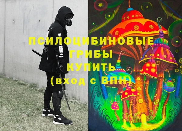 бутират Богданович