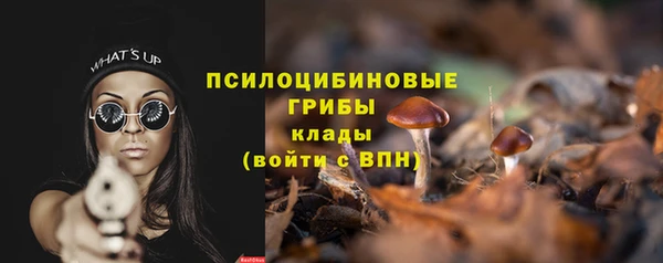 таблы Богородск