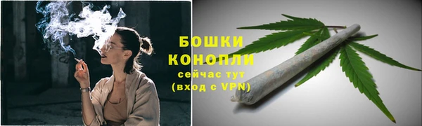бутират Богданович