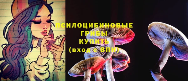 таблы Богородск