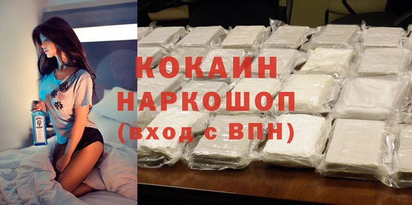 spice Богородицк